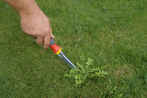 Herramientas para quitar malas hierbas de © Outils WOLF