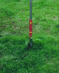 Quitar malas hierbas manualmente. © Outils WOLF