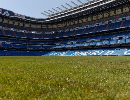 Césped mixto, el futuro y presente del césped deportivo