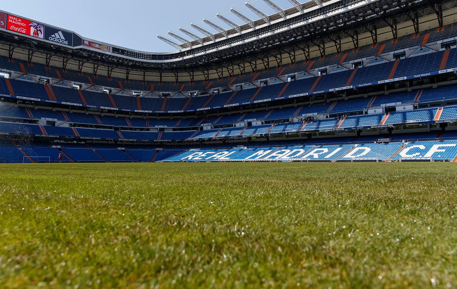 Instalacion de cesped mixto en el Santiago Bernabeu