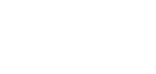 Toro logo