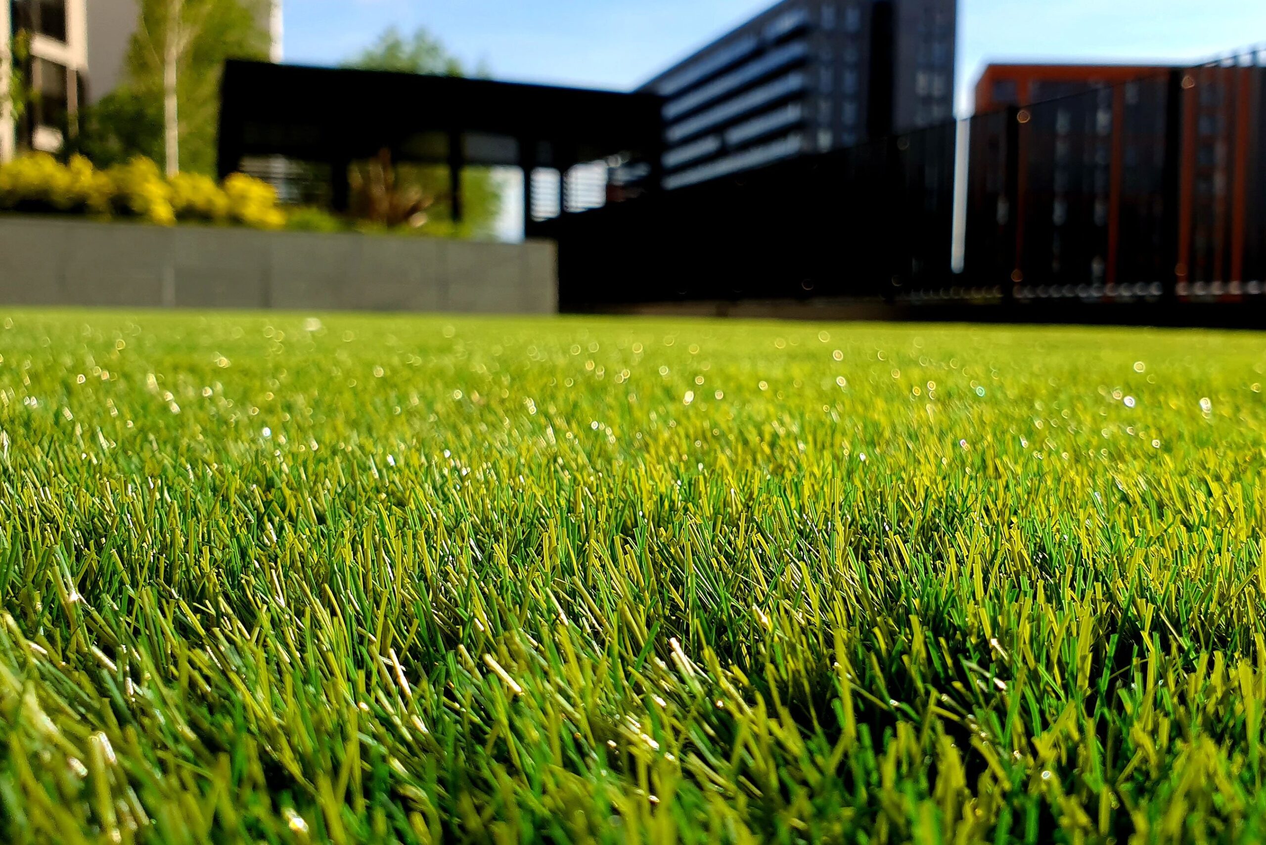 Well Maintained Lawn landscaper-gallery-02